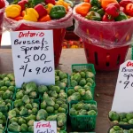 Saturday Morning at the Downtown Windsor Farmers’ Market